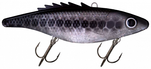 Silver Shad