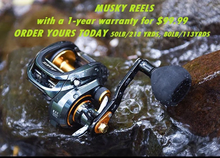 PISCIFUN® ALIJOZ SIZE 300 LOW PROFILE BAITCASTING REEL