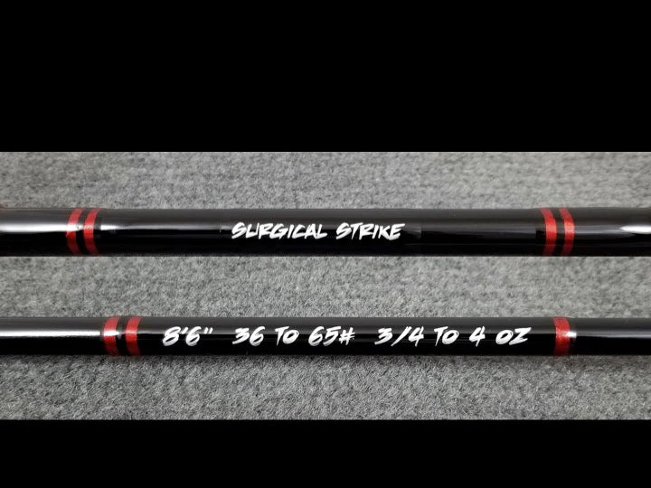 20/20 ASSAULT STICK TELESCOPIC RODS