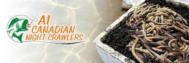 Canadian A1 Nightcrawlers